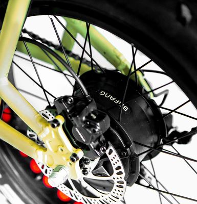 Cadre en alliage d'aluminium 48V34AH 1000W Fat Tire Ebike avec deux piles et deux paniers