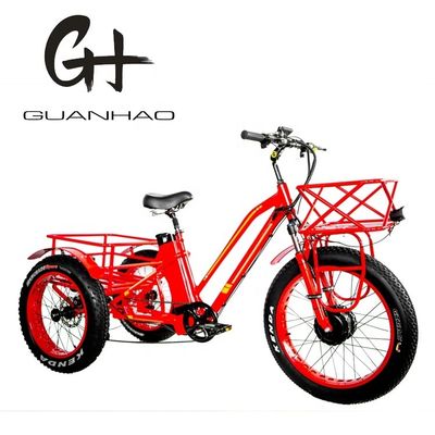 48V 750W moteur avant 24 &quot; adultes tricycle électrique avec 17AH batterie au lithium et pneus de neige gros