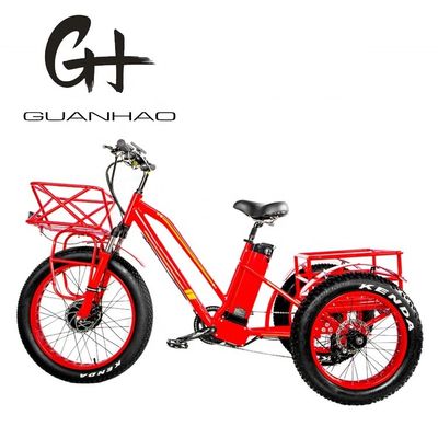 48V 750W moteur avant 24 &quot; adultes tricycle électrique avec 17AH batterie au lithium et pneus de neige gros
