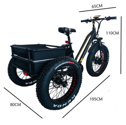 48V 750W moteur avant 24 &quot; adultes tricycle électrique avec 17AH batterie au lithium et pneus de neige gros