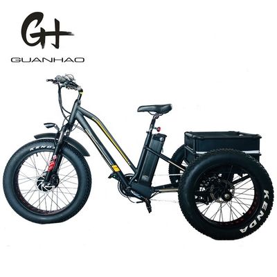Type de corps ouvert 24 pouces 20 pouces BAFANG Front Motor Tricycle électrique pour adultes 48V21AH 750W