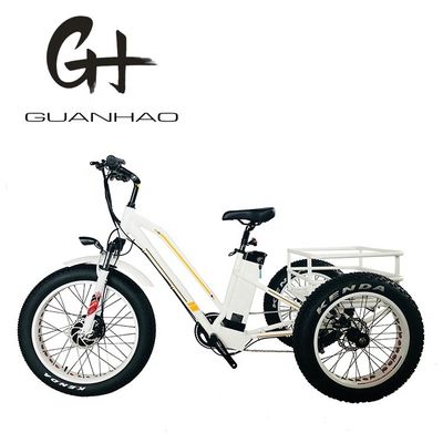 Type de corps ouvert 24 pouces 20 pouces BAFANG Front Motor Tricycle électrique pour adultes 48V21AH 750W