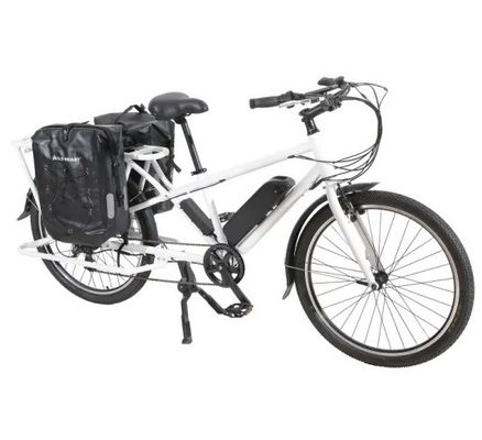 Rame d'aluminium longue queue de chargement électrique Bikerd Bike Standard Type 48V1000W avec En15194