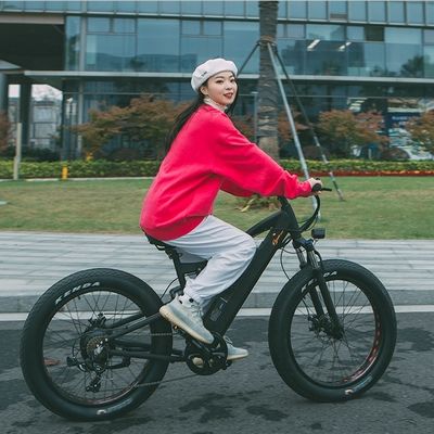 750W Bafang Motor Vélo de montagne électrique avec Shimanu 7 vitesses et pneus C 3.0