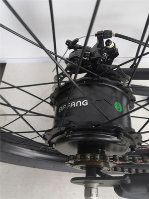 Vélo électrique de plage de 24 pouces avec moteur sans balai de 48V et pneus 3.0