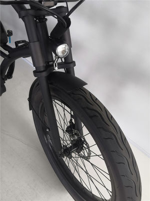 Vélo électrique de plage de 24 pouces avec moteur sans balai de 48V et pneus 3.0