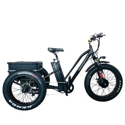 Grande puissance 48V 13AH 750W 45KM/H UL2849 Bafang avant moteur électrique pneu gras tricycle 20