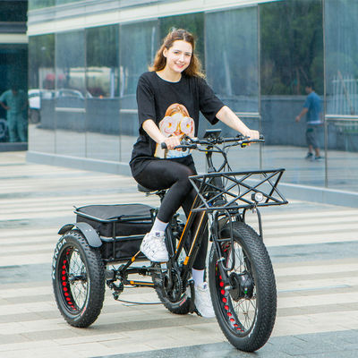 Grande puissance 48V 13AH 750W 45KM/H UL2849 Bafang avant moteur électrique pneu gras tricycle 20