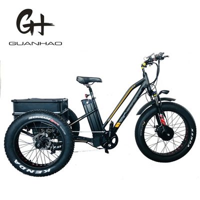 États-Unis 24&quot;20&quot; Bafang 8fun motorisé 750W 48V 17a Adulte 3 roues Cargo Ebike Tricycle électrique