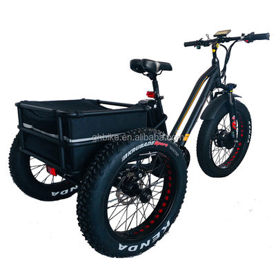 États-Unis 24&quot;20&quot; Bafang 8fun motorisé 750W 48V 17a Adulte 3 roues Cargo Ebike Tricycle électrique