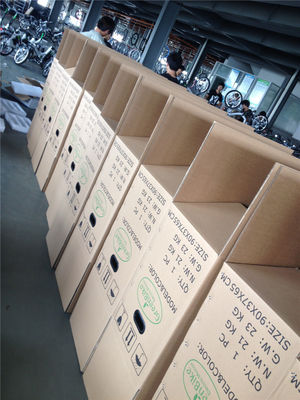 Vélo électrique pliant pour Israël Vélo vert 350W Mag Wheel 36V Voltage 7 vitesses engrenages