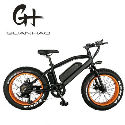 750W 20 pouces Fat Tire Mini Vélo électrique de montagne ZOOM Portée de la tige par puissance 10-30 km