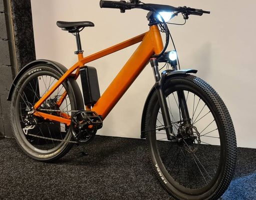 1000W 48V 14AH batterie cachée cachée E-MTB affichage LCD vélo de montagne électrique pour votre