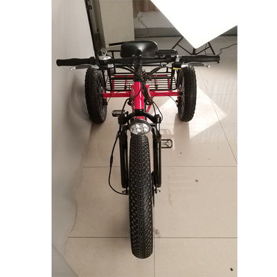 Vélo électrique à trois roues pour adultes de 500 W avec jante en aluminium gras et certificat EN71
