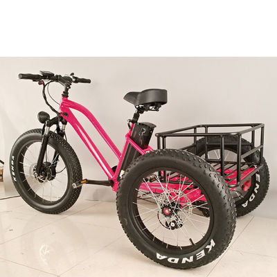 Vélo électrique à trois roues pour adultes de 500 W avec jante en aluminium gras et certificat EN71