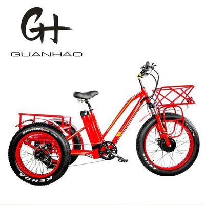 Type de corps ouvert 24 pouces 20 pouces BAFANG Front Motor Tricycle électrique pour adultes 48V21AH 750W
