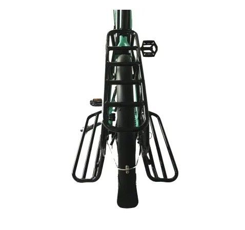 20&quot; cadre en alliage de magnésium Ananda Bafang MID Drive vélo électrique pour la famille ou la livraison de fret