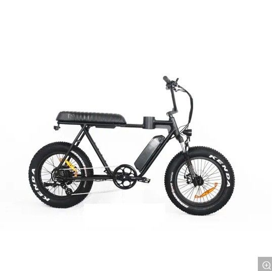 Cadre en alliage de magnésium 2020 20 pouces pneu gras vélo électrique Snow Beach Cruiser EL-DN2011Z