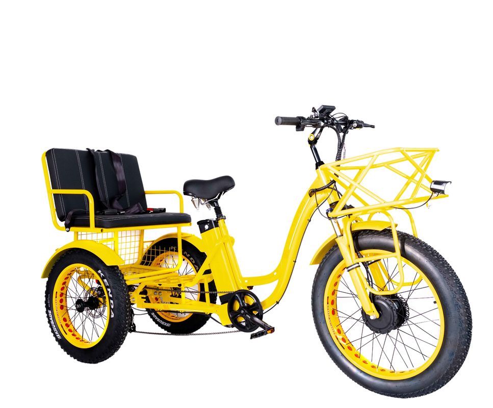 Rickshaw électrique 750W Moteur avant BaFang 21AH Batterie au lithium 60KM USA Adult 24&quot; Fat Snow Grand pneu siège passager