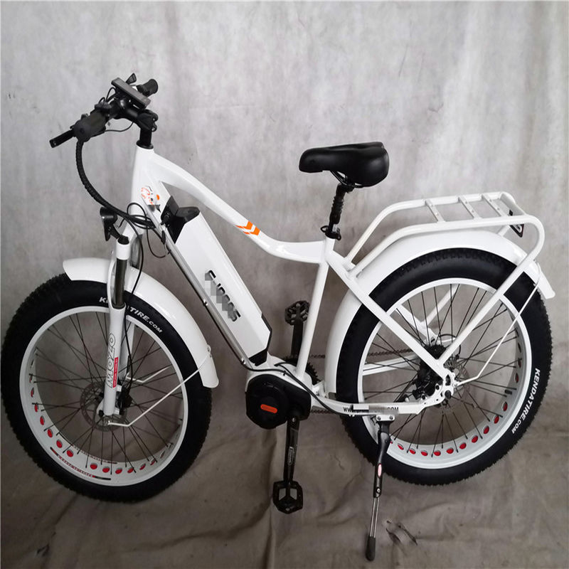 1000W Bafang Moteur à entraînement médian Alloy Porteur arrière Central Electric Bike avec normes