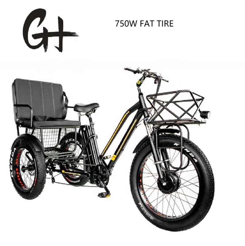 Bafang 750W Tricycle électrique à moteur avec pneu gras E Trois roues et siège passager