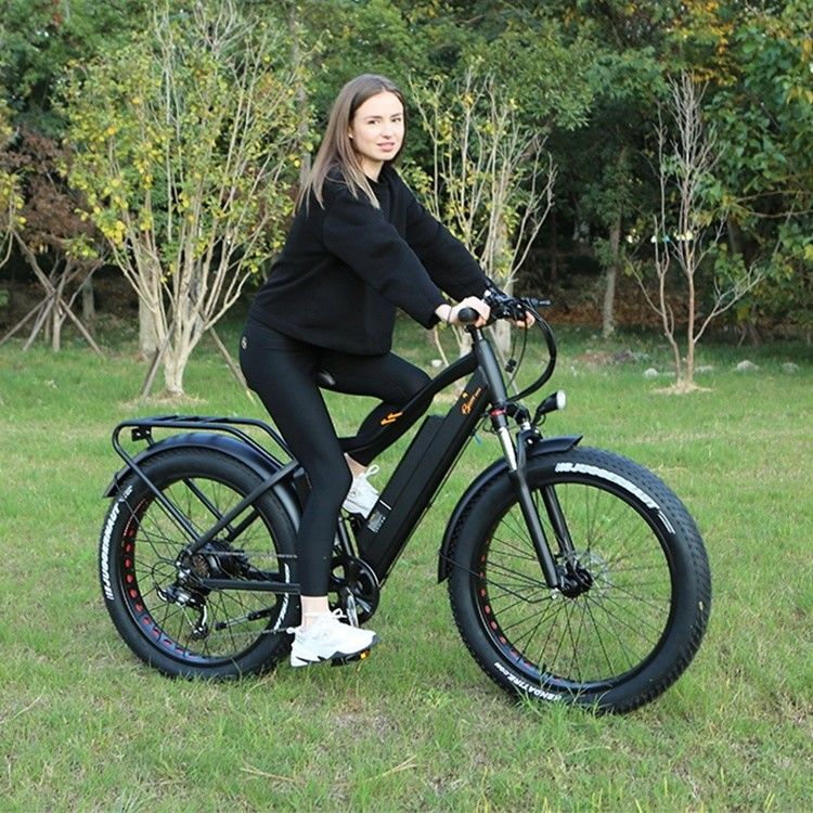 48V 1000W 17AH batterie au lithium OEM EN15194 CE Vélo électrique sur pneus de montagne