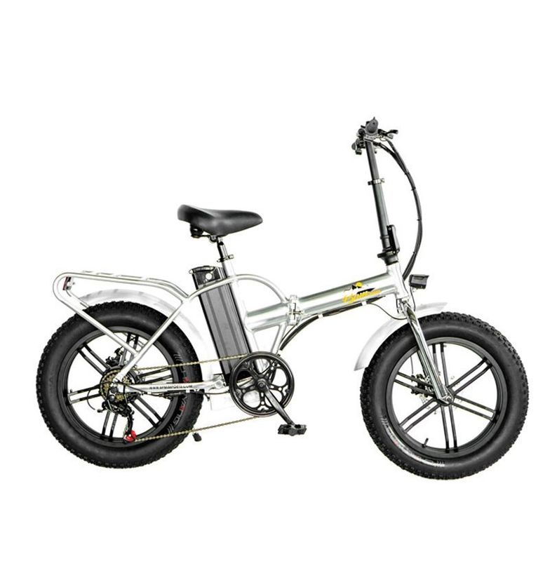 750W 1000W 48V Fat Tire 4,0 &quot;Rame d'argent pliable à 5 rayons vélo pliant électrique 20 pouces