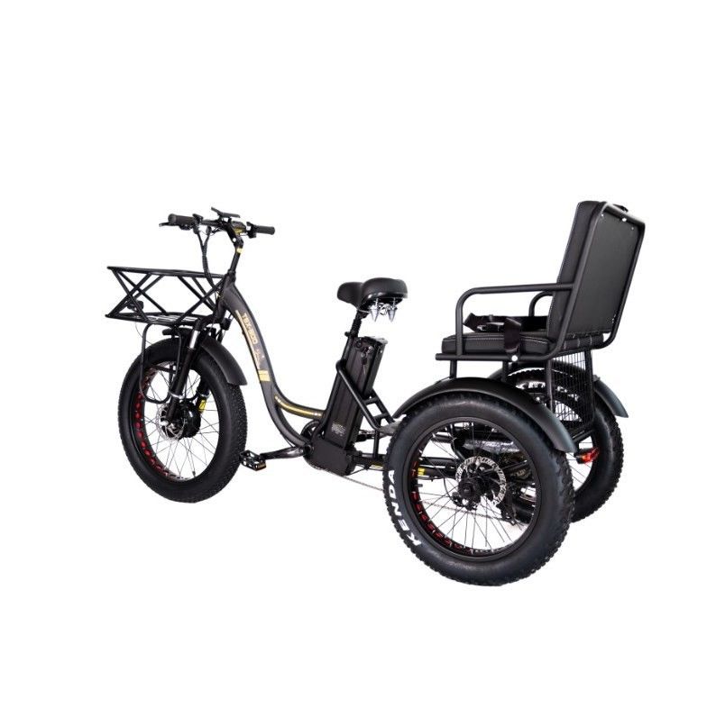 Bicycle électrique Taxi à rickshaw avec un moteur de 48V 1000W Bafang Crank et un pneu Kenda 24*4.0
