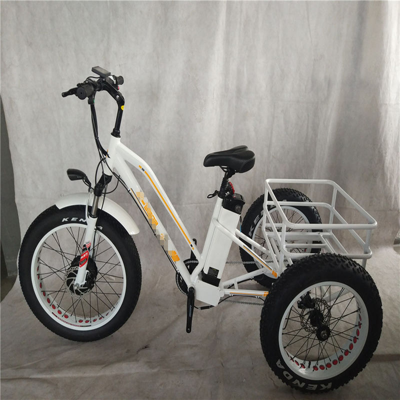 750W vélo électrique 3 roues pneu gros pour adultes E Trike Cargo couple 70-80 Nm freins à disque