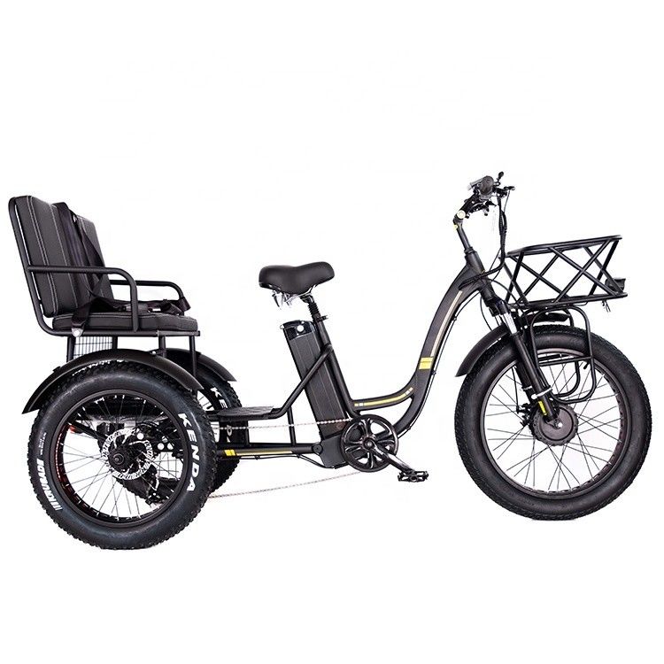 Tricycle électrique léger en aluminium 48V 750W 21AH 50KM/H pour passager adulte