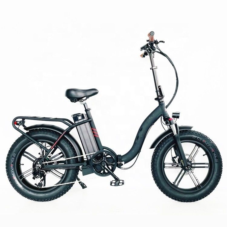 La bicyclette pliante électrique de 48 V 10.4 AH approuvée par la CE avec un moteur de 750 W et une vitesse maximale de 50 km/h