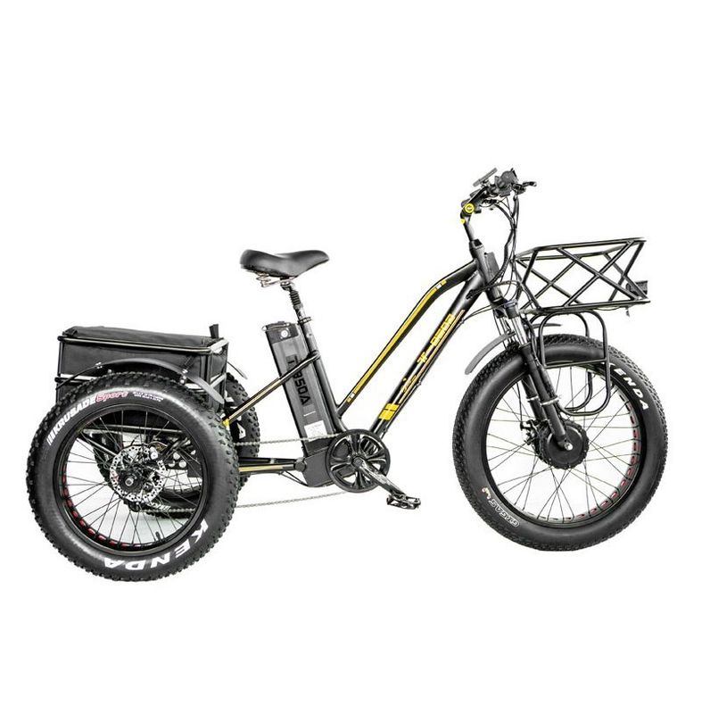 Frein à disque 750W Tricycle électrique de chargement pneu gras 3 roues E Trike pour les voyages de longue distance