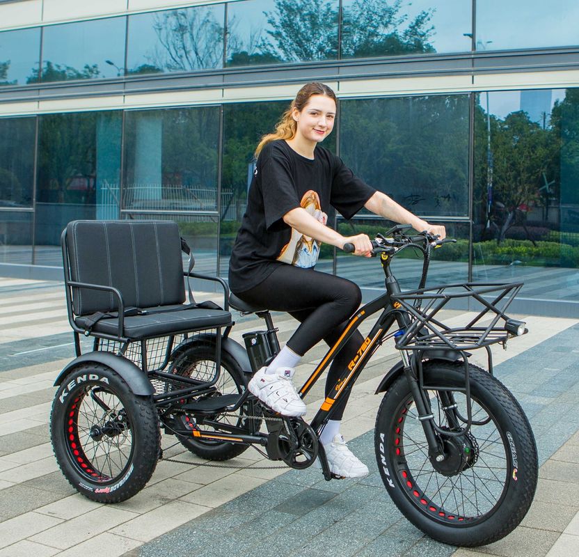 Tubes vers le bas 48V 750W 17AH batterie au lithium 45KM/H bafang Front Motor Tricycle électrique de passagers