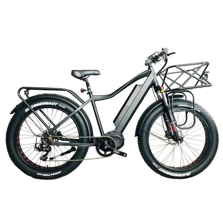 Le marché américain EN15194 CPSC 48V 1000W 17AH Vélo de montagne électrique avec moteur moyen Bafang