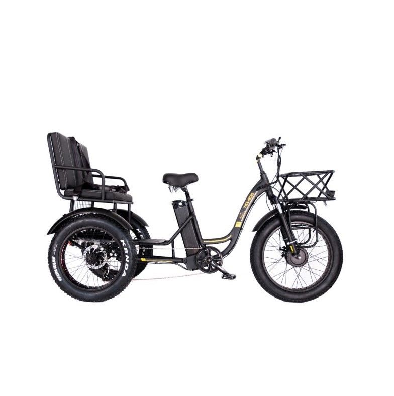 16.7 Ah Capacité de la batterie 750W RICKSHAW électrique tricycle pour le passager