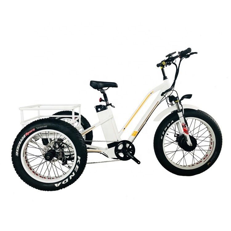 48V 14AH panier arrière 4.0 pneu de neige tricycle électrique cargo avec certification CE USA