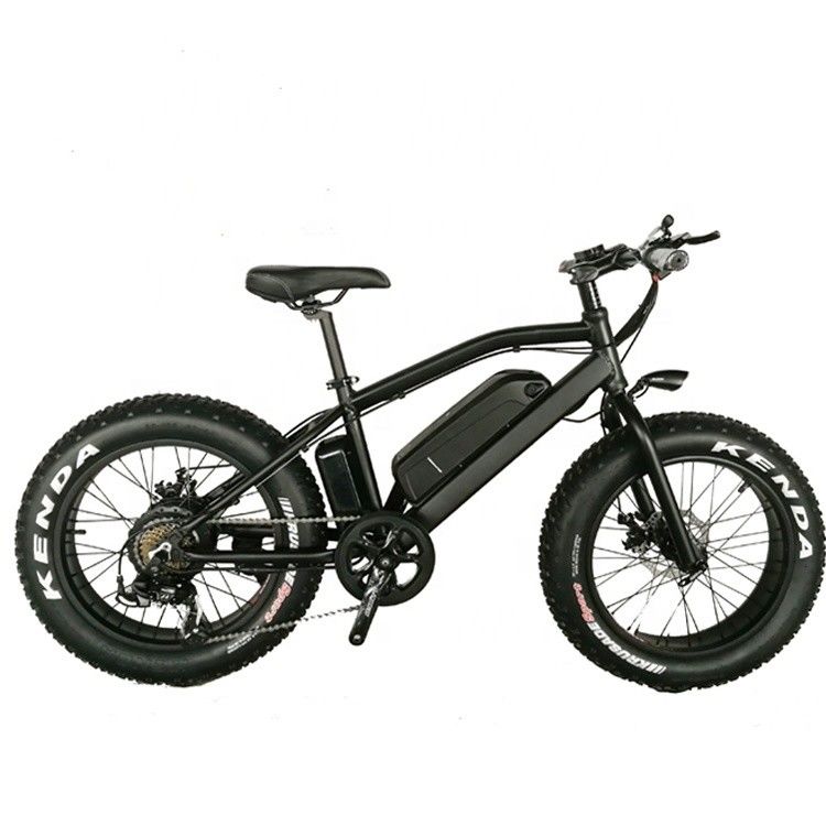 20 pouces en alliage d'aluminium Cadre Boy Mini 48V 4.0 USA CE 750W enfant vélo électrique de montagne