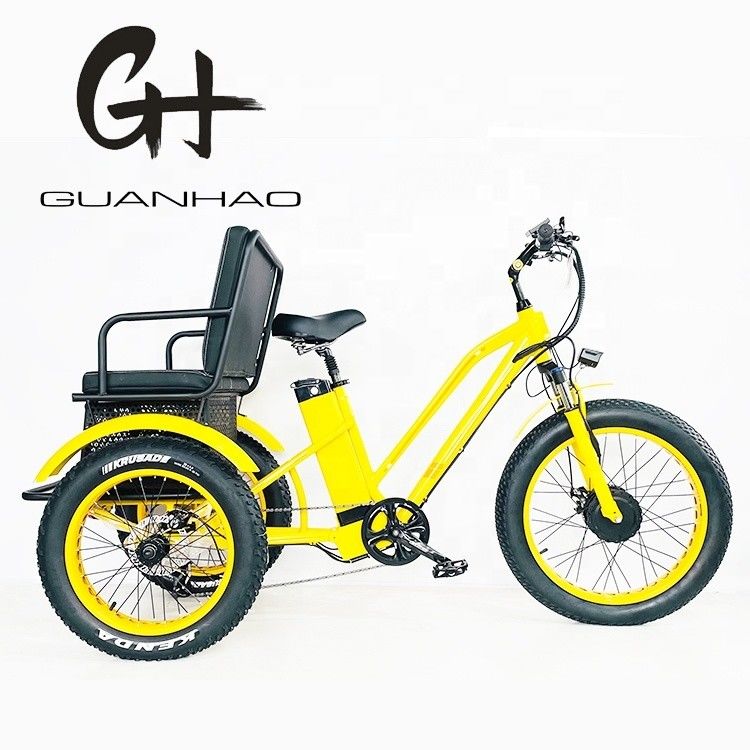 US Fat Tire Tricycle électrique pour passagers avec moteur Bafang de 1000W et pédale en aluminium
