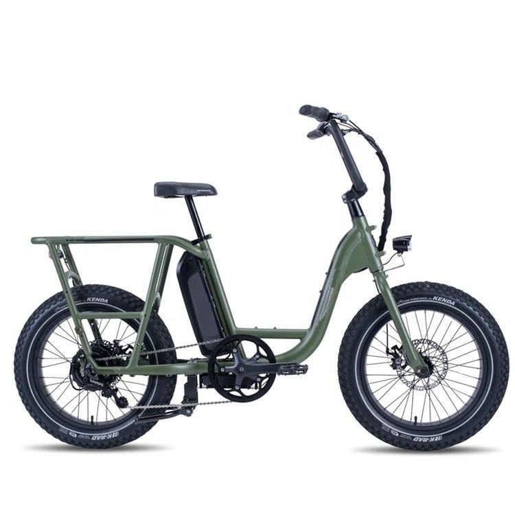 48V 1000W 32MPH vélo électrique hybride cargo avec 20 &quot;4.0 pneu gras et couple de 80-90 Nm