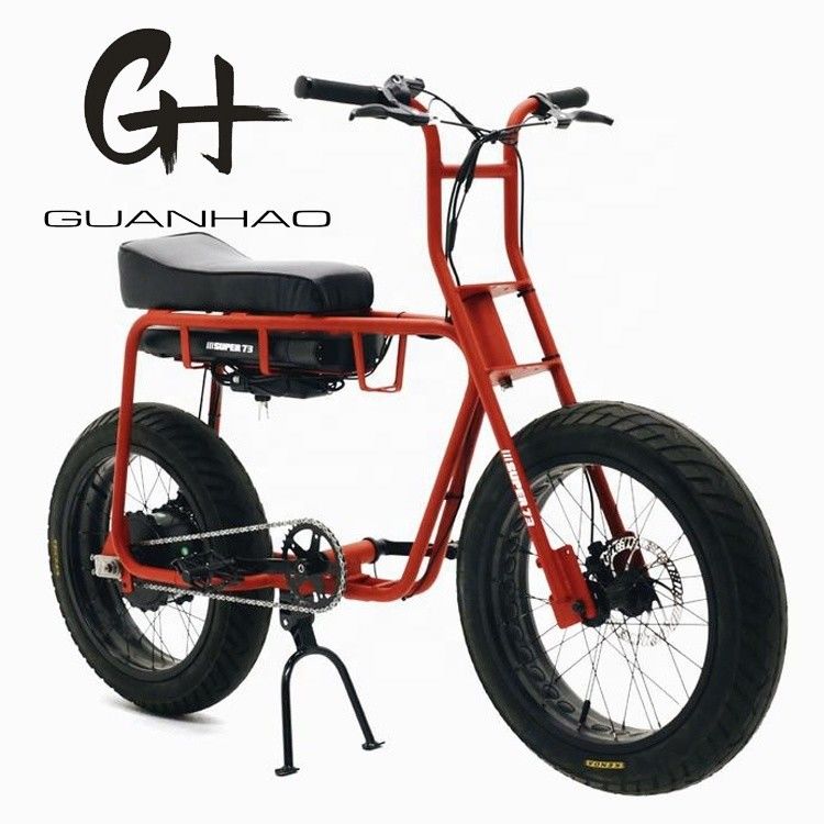 Frénésie à disque 20 pouces 750w 1000w batterie double pneu électrique gras Vintage Vélo de montagne 2 sièges Beach Cruiser Max 50KM/H vélo électrique