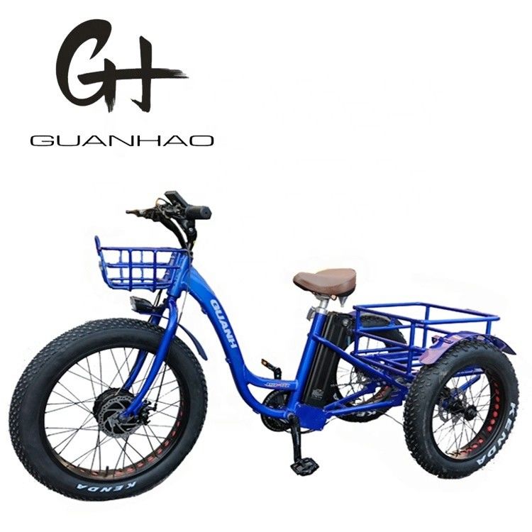 Type de corps ouvert 24 pouces 20 pouces BAFANG Front Motor Tricycle électrique pour adultes 48V21AH 750W