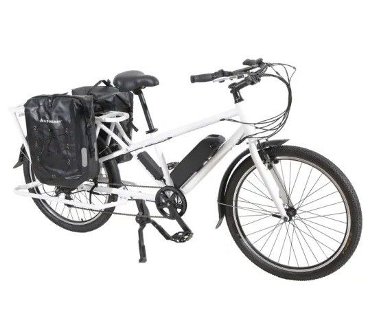 Rame d'aluminium longue queue de chargement électrique Bikerd Bike Standard Type 48V1000W avec En15194