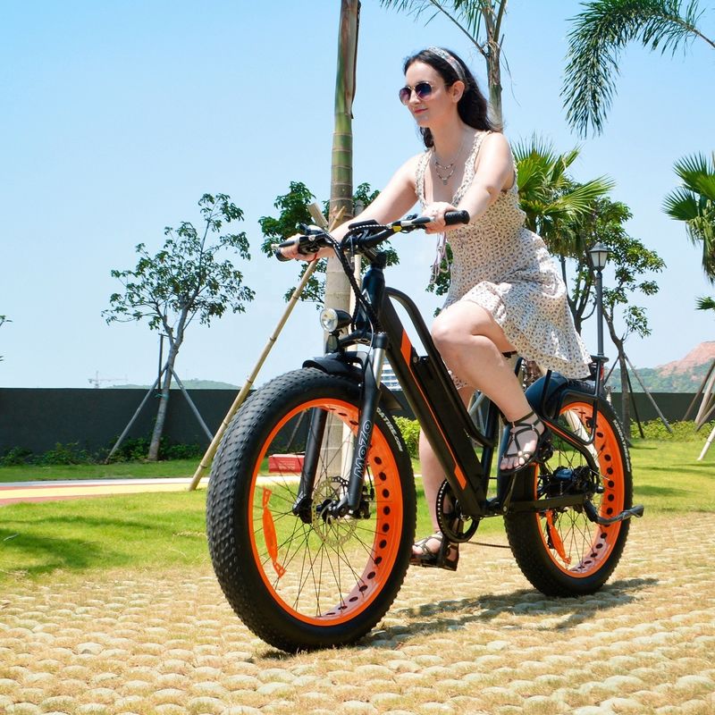 750W 50KM/H A2B CE OEM chinois 48V moteur pneu gras vélo de montagne électrique Bon joli