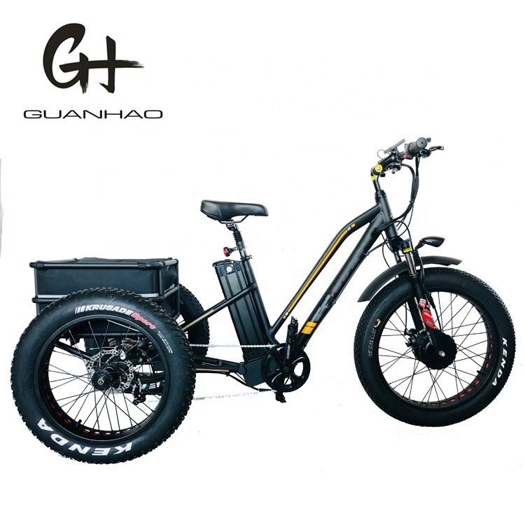 États-Unis 24&quot;20&quot; Bafang 8fun motorisé 750W 48V 17a Adulte 3 roues Cargo Ebike Tricycle électrique