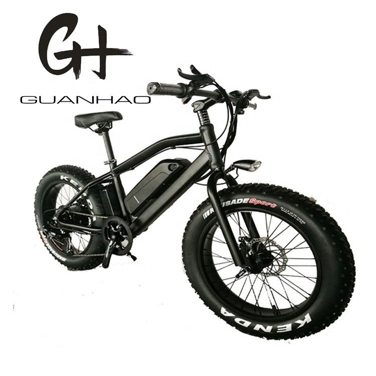 750W 20 pouces Fat Tire Mini Vélo électrique de montagne ZOOM Portée de la tige par puissance 10-30 km