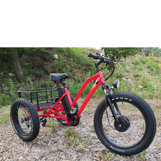 Vélo électrique à trois roues pour adultes de 500 W avec jante en aluminium gras et certificat EN71