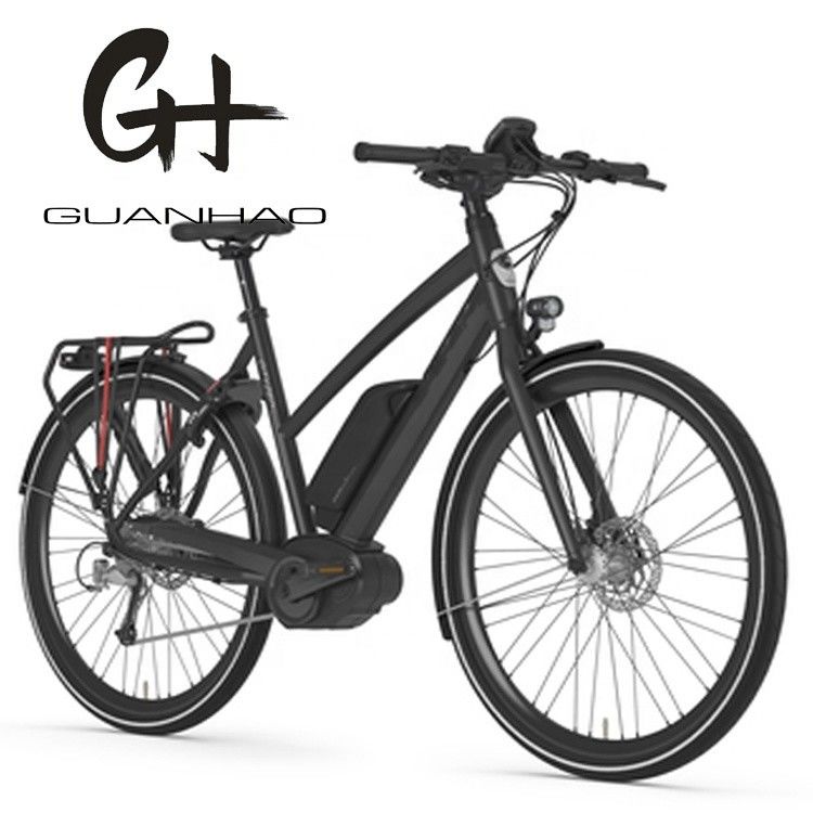 36V 250W 17Ah Moteur électrique moyen Vélo électrique urbain unisexe pour coureurs intelligents